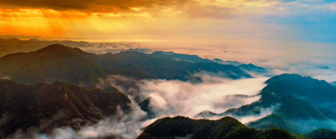 绿地凤玺台，进退皆山河 | 青岛塔尖圈层都在等的半山台墅