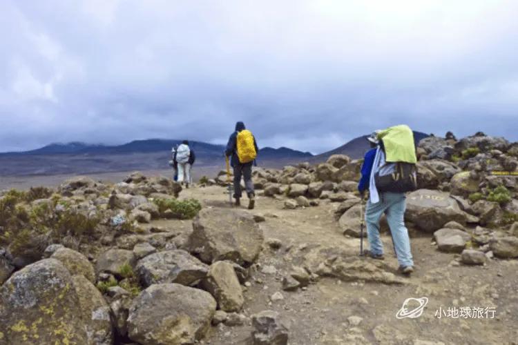 通俗人最容易攀登的世界之最 “非洲更高山脉”乞力马扎罗｜坦桑尼亚旅游攻略