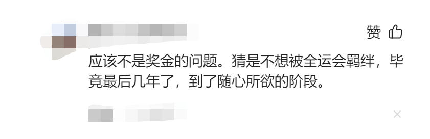 张帅官宣从天网中心去职成自在职业者，网友：财政自在了