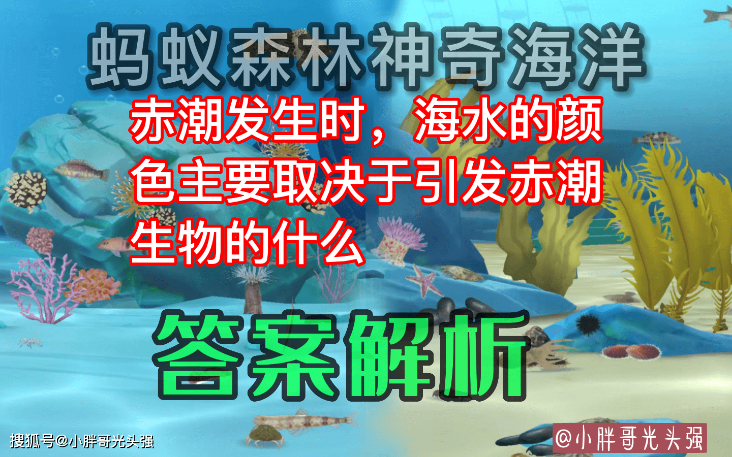 赤潮时海水颜色次要取决于引发赤潮生物的什么？蚂蚁丛林奇异海洋