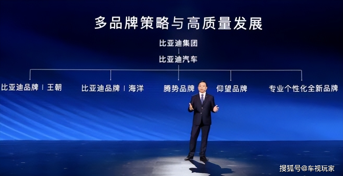 新开手游sf发布网:原创
                40万至60万买一款双电机带三把锁的大型新能源SUVstrong新开手游sf发布网/strong，你会选择吗？