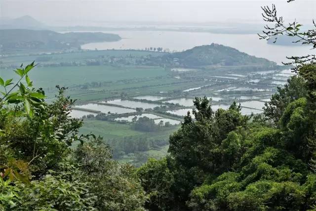 相约安徽 向春而行丨安庆宜秀：杨桥镇灵山石树景区山奇水秀