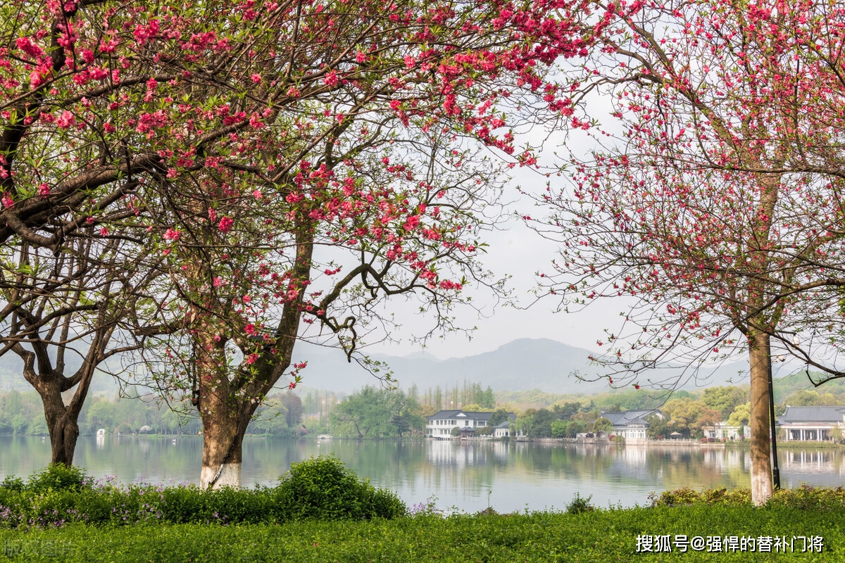 以下哪句诗是在描画前人春游的场景？出处在哪里？蚂蚁庄园今日谜底