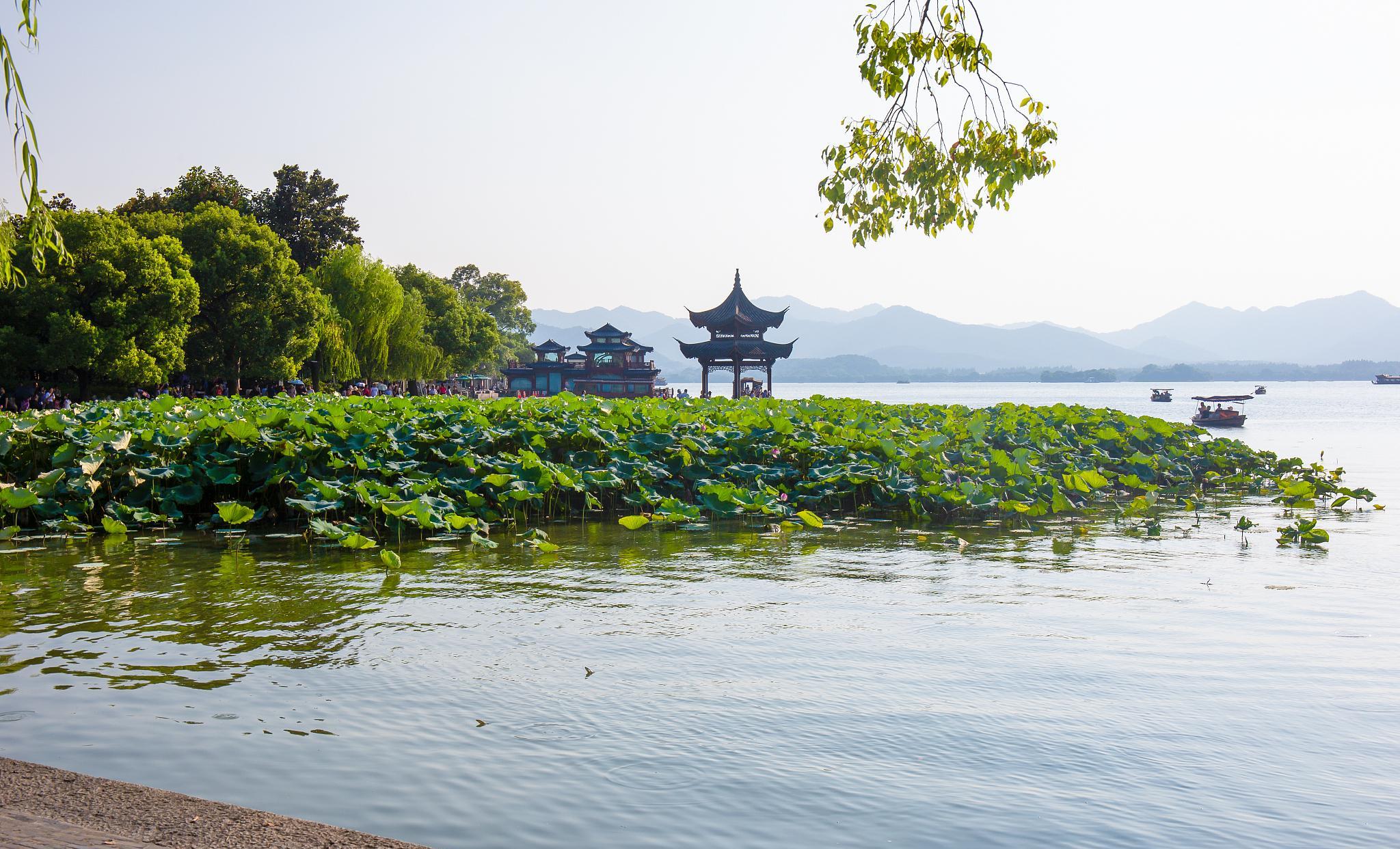 一个充满打动和启发的履历：回忆我的西湖之旅