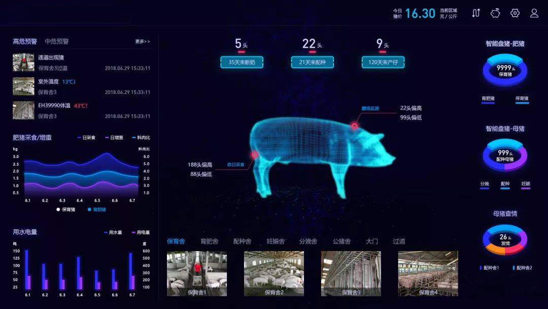 “猪”事百情，尽在掌握|云之梦聪慧养殖处理计划助力行业智能化晋级