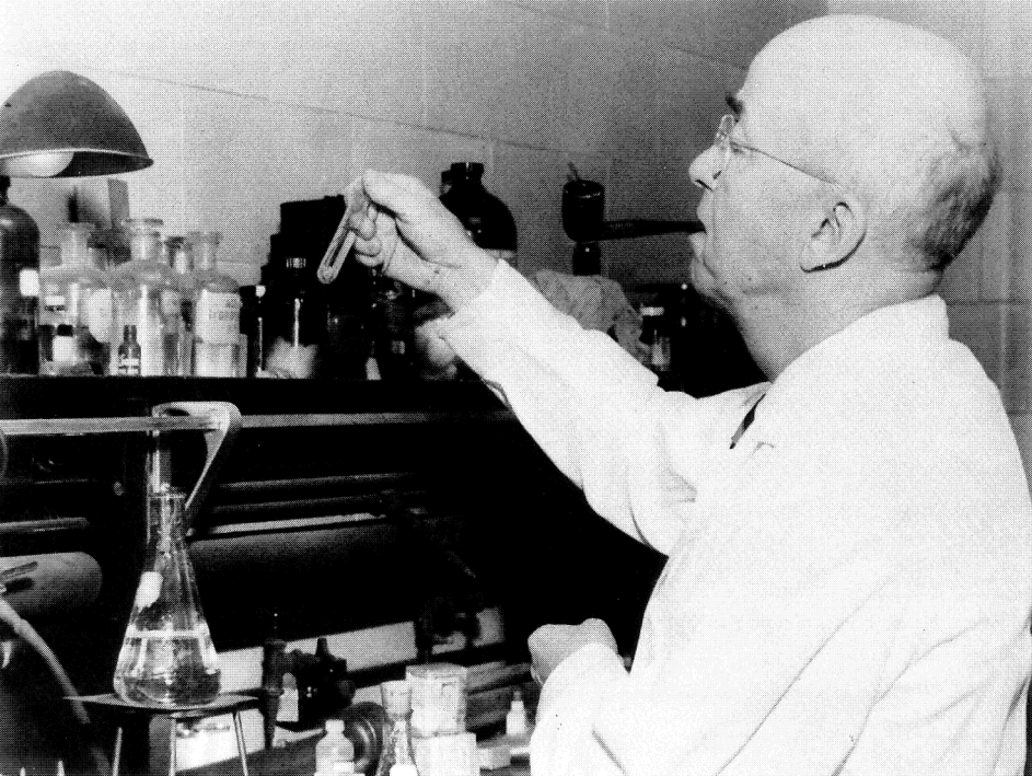 �й�����ҵӦ�������缶�ġ����ιھ���ѧϰʲô��