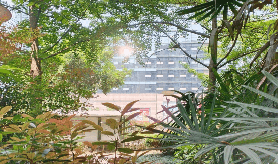 ��Ϊ����60X���⣺�ʹ�����һ��Լ�ᣬ�������ز�����