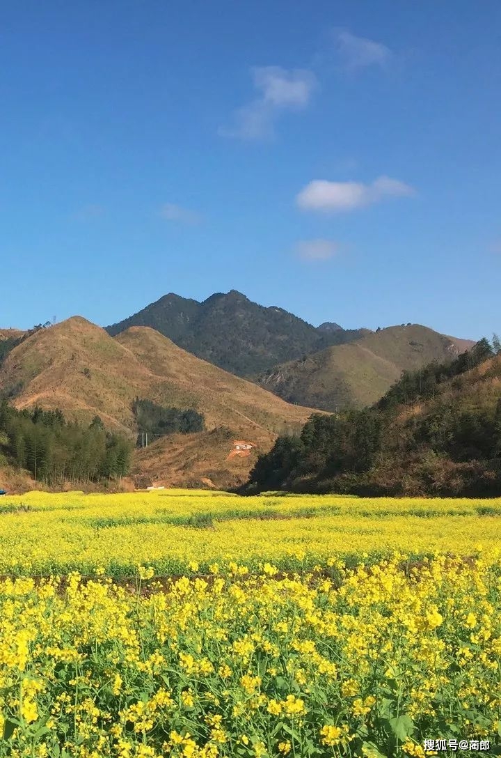 浙江十大必玩景点