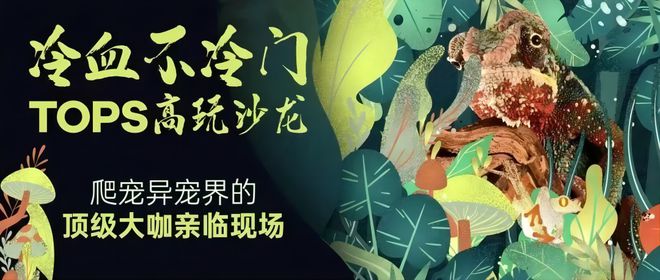 @爱宠星人，它博会时隔两年“茸化”归来！速来集合！