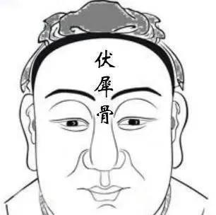 俗话“头生九龙骨，迟早必权贵”，此中的“九龙骨”是指什么