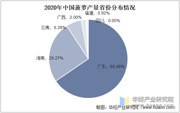2亚新体育023年中国菠萝种植现状分析及投资规划建议报告(图2)