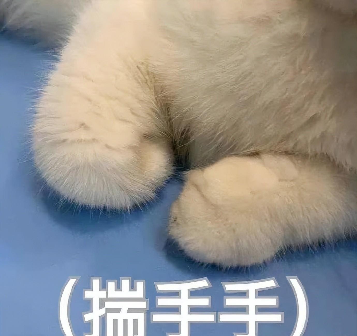原创退役超模BarbaraPalvin回来了，网友：终于回来了