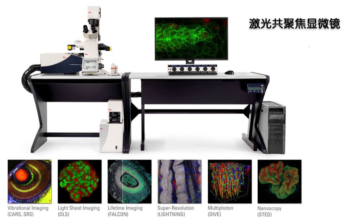 激光扫描共聚焦显微镜的测试原理和应用领域