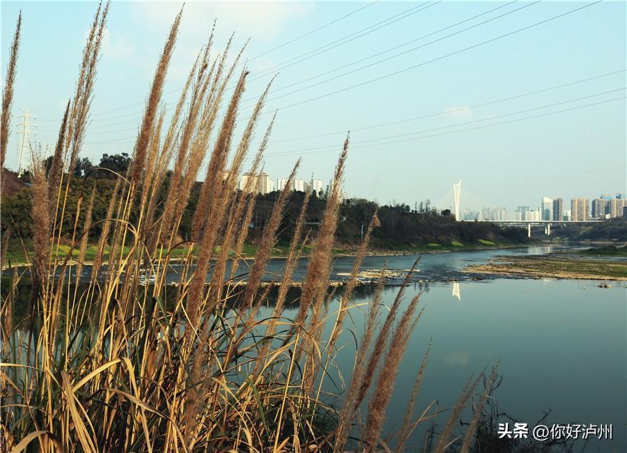 农家乐重出江湖泸州这片区域未来必将成为一张特别的名片开云APP 开云官网入口(图7)