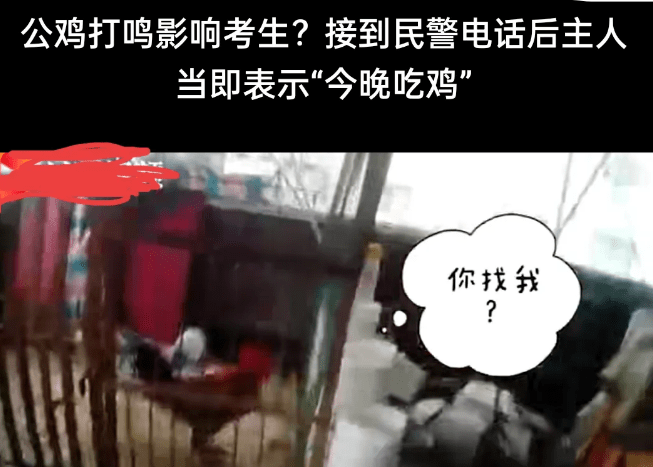 公鸡打鸣影响考生，主人:今晚吃鸡，一点不拖泥带水真是性情中人