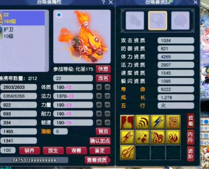 梦幻西游：全红须弥观照谛听，惨遭毁灭式改书！