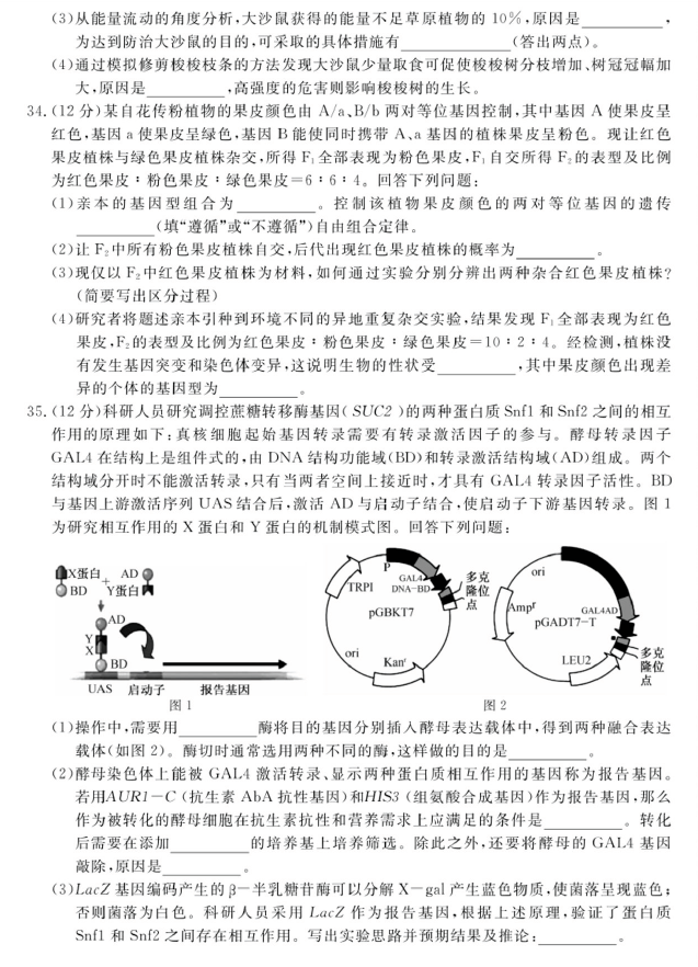 2023年高考全国乙卷《理综》真题参考
