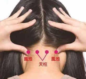 原创
            呼吸道疾病1养生保健丨呼吸道的病