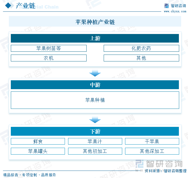 必博体育一文读懂2023年中国苹果行业未来发展前景：供需失衡至价格高涨出口明显下(图3)