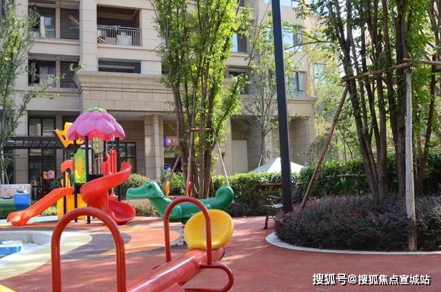 文章配图-15