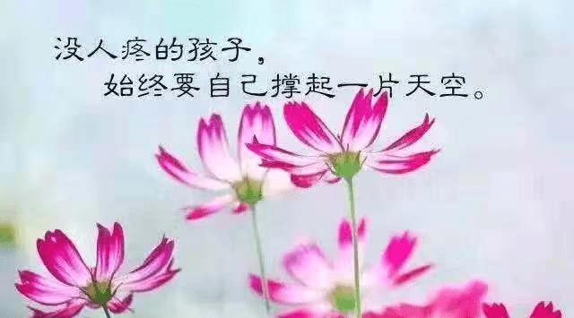 佛经描述了经典的人生哲理，句句深刻，让人深恶痛绝