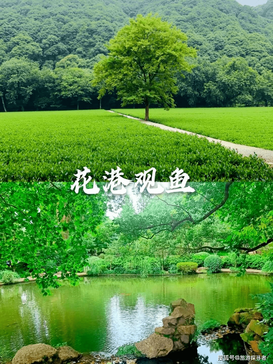 杭州旅游攻略，这些景点不去会后悔