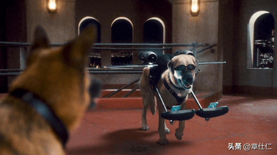 解析奇梦，老鼠咬狗——一场关于生活与内心冲突的隐喻之旅