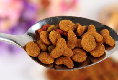 宠物知识分享：猫咪不吃不喝就舔墙，猫咪舔墙该补什么-第2张图片-冲锋网