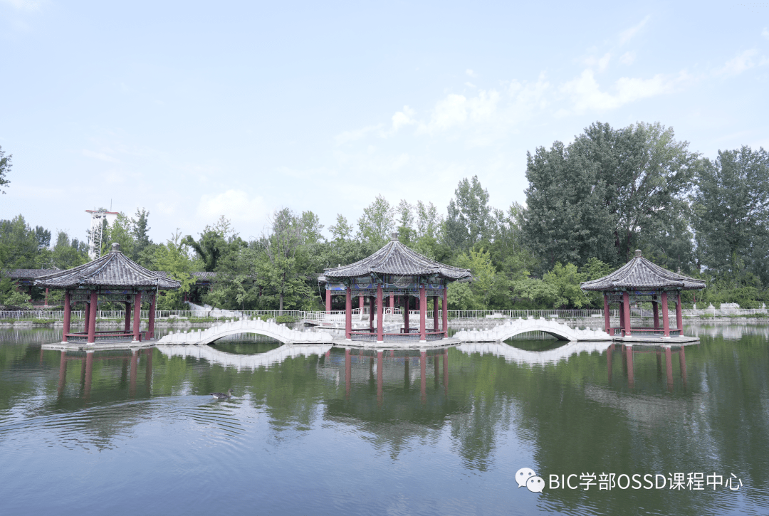 北京市丰台区怡海中学BIC学部OSSD课程中心,欢迎你到来!(图 5)