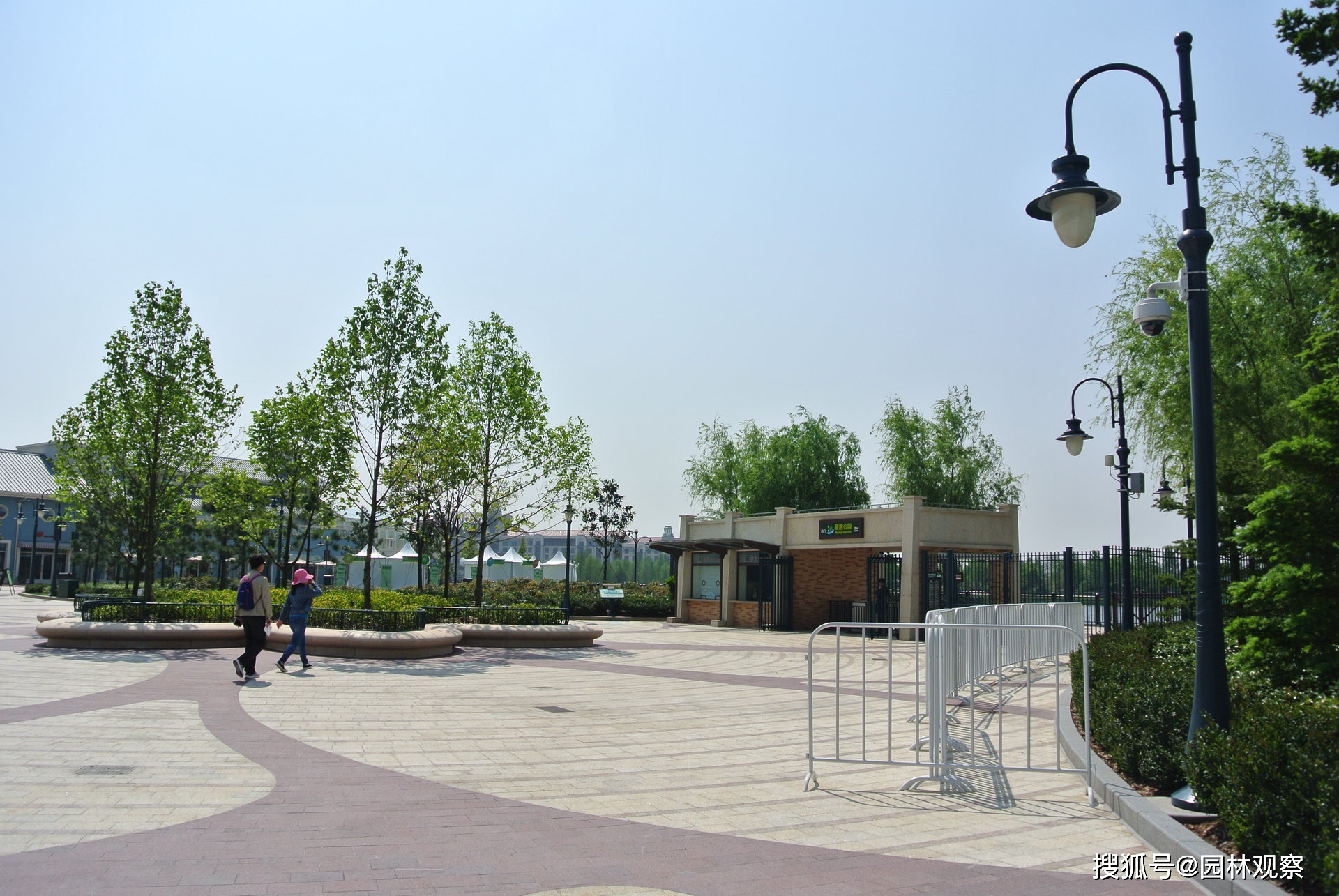 上海迪士尼开园完工5年大部门入口树种发展杰出(图2)