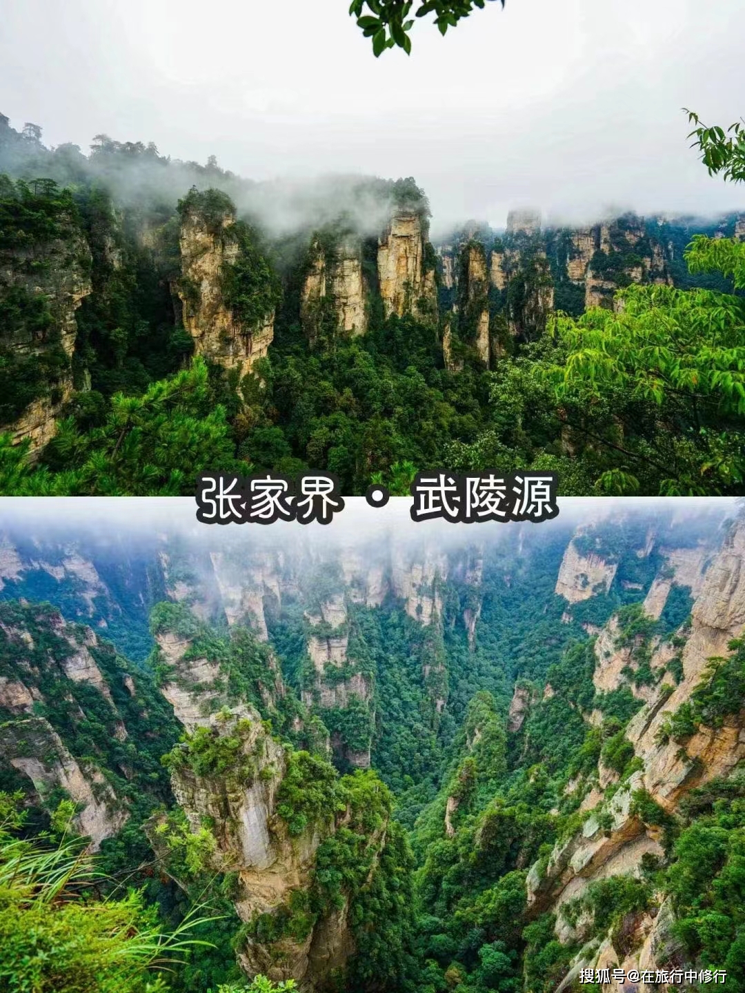 和家人的一次完美旅行张家界4天3晚亲子之旅自由行攻略