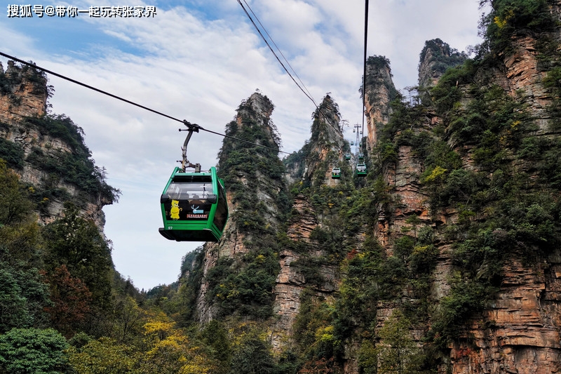 带父母到湖南张家界森林公园天门山玩4天自由行攻略