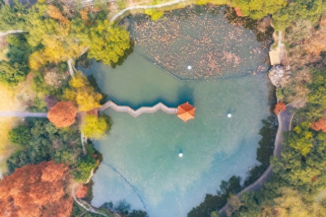 探寻海上明珠，舟山旅游攻略大揭秘