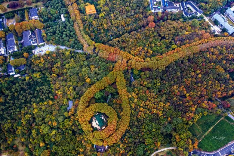 南京旅游攻略：三天两夜千元以下！建议收藏！最佳必去景点分享