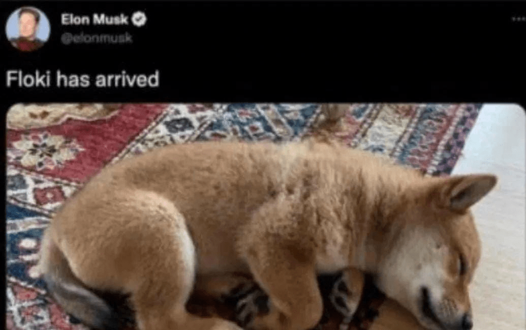 比特币市值占比创21年4月以来新高,山寨币随风起舞,盘点最近亮眼的山寨币