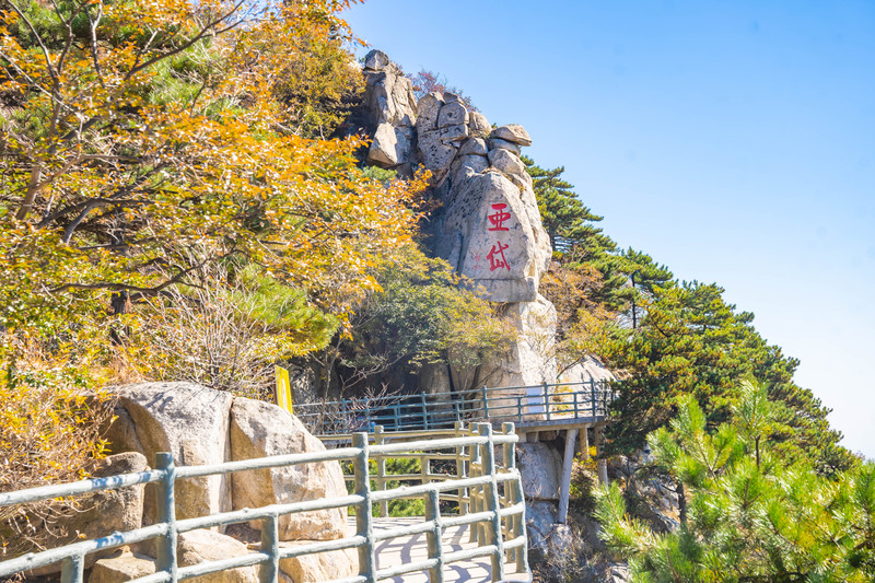 5天4晚山东美食攻略，开启一场味蕾之旅！