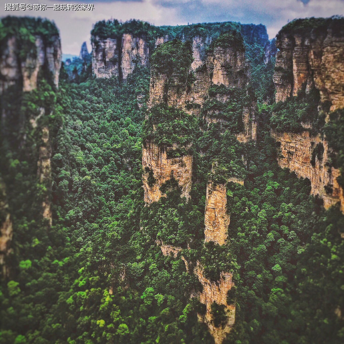 张家界森林公园深度旅游+天门山，凤凰自由行（详细攻略）