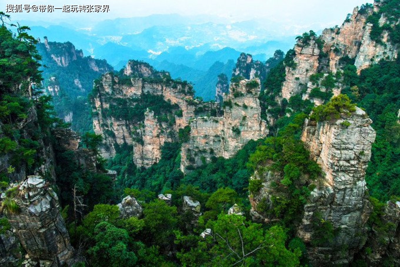 带父母游张家界-纯玩小包团-4天自由行超详细旅游攻略