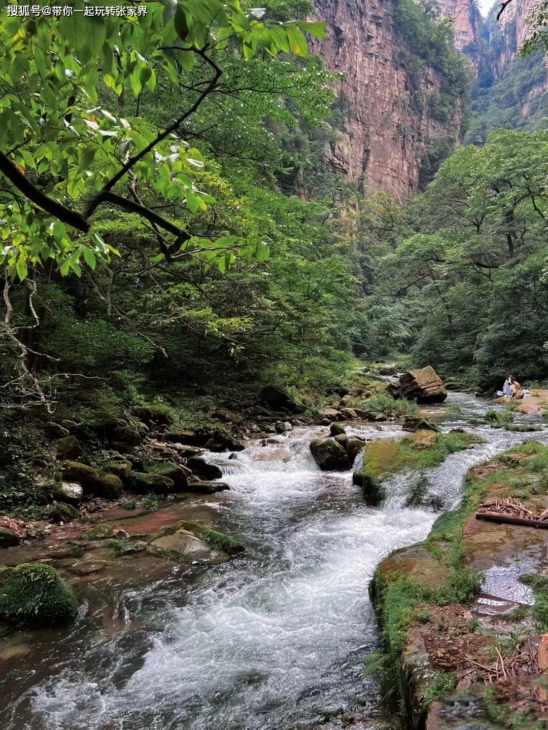 张家界凤凰古城旅游攻略-附上路线+玩法+住宿+费用人均不到1千