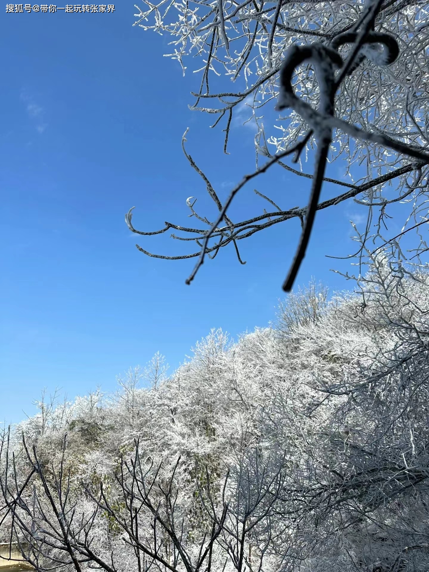 冬日张家界旅游攻略-这个冬天张家界银装素裹 美的犹如仙境