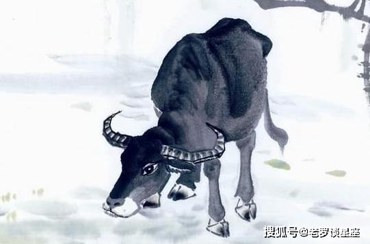 企足而待是什么生肖，经典解析