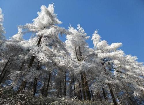 恩施大峡谷赏雪攻略|小众隐秘的赏雪路线+冬季游玩全攻略！