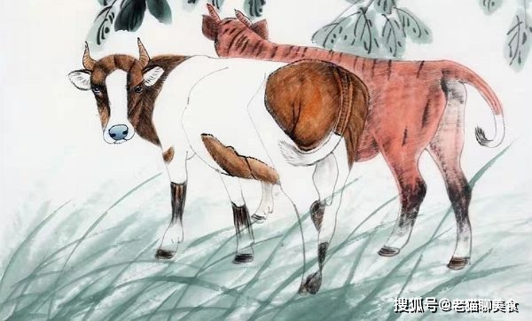 《三朝风起四二尽，弱红三四看二三形容什么生肖！