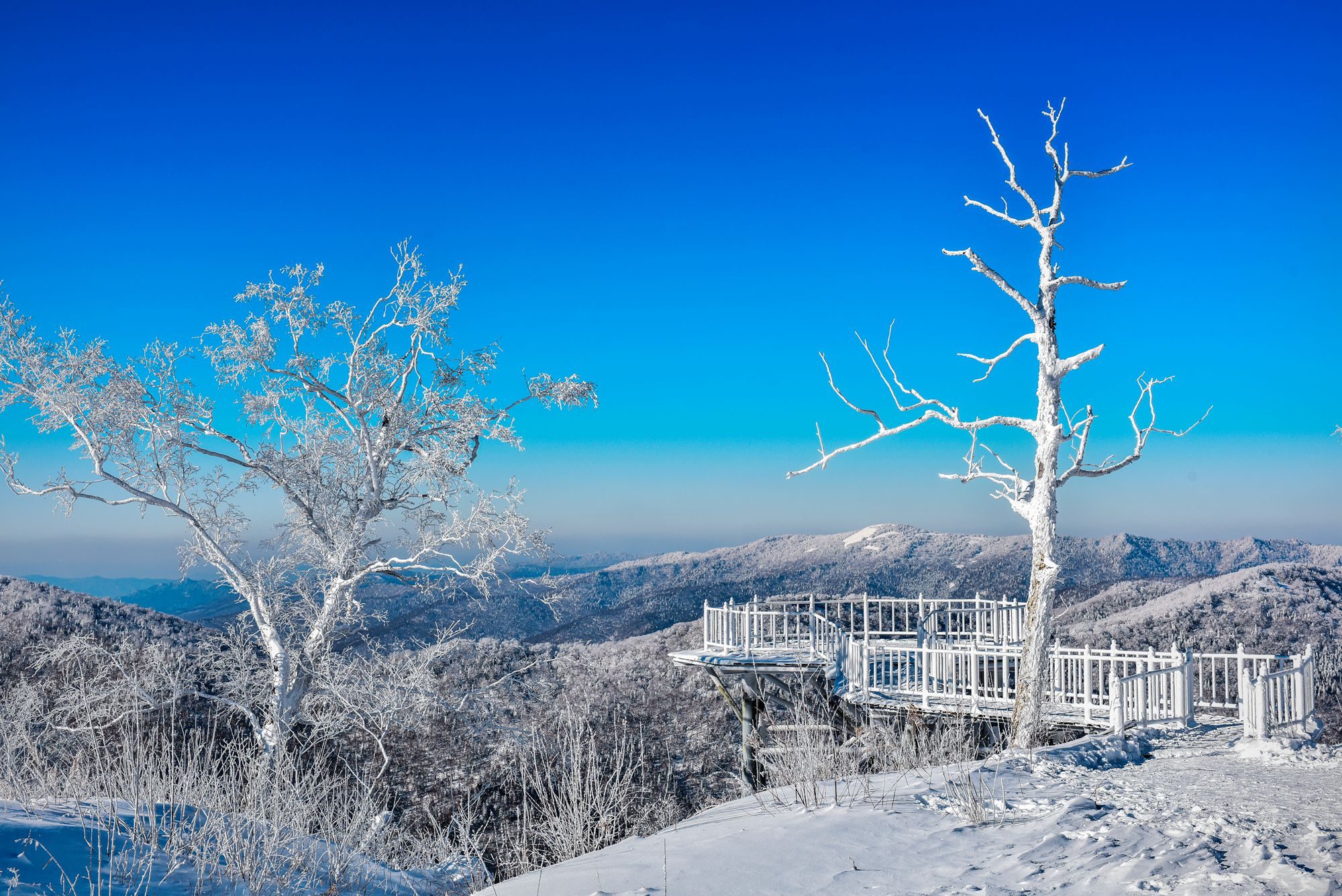 牡丹江中国雪乡旅游攻略，这里有奇特的雪色，一到冬天美成了画