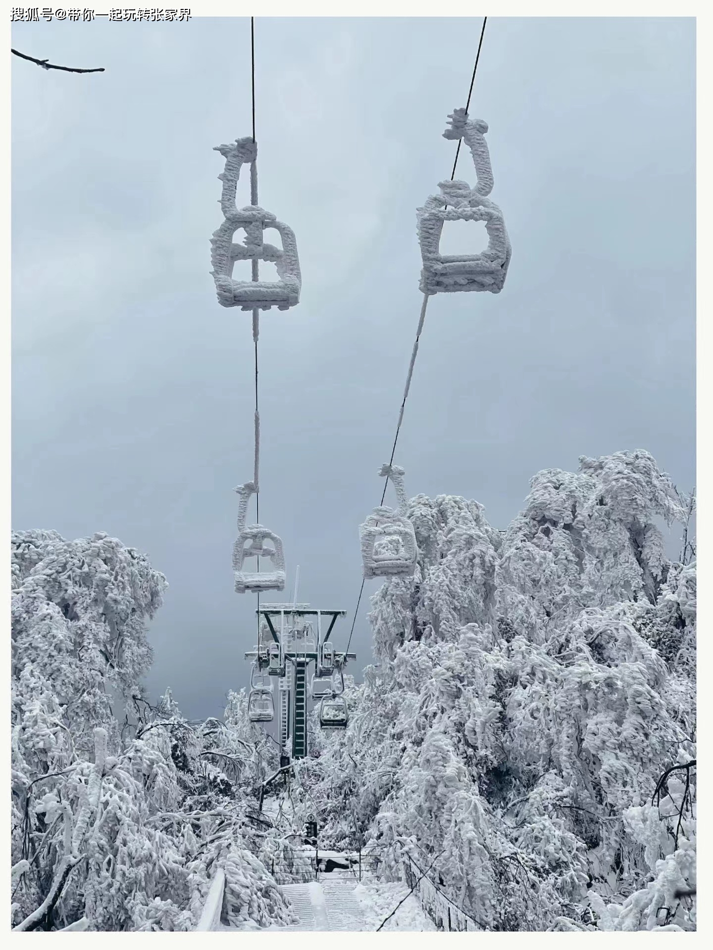 冬天去湖南张家界湘西凤凰古城看雪景吧-玩5天自由行攻略