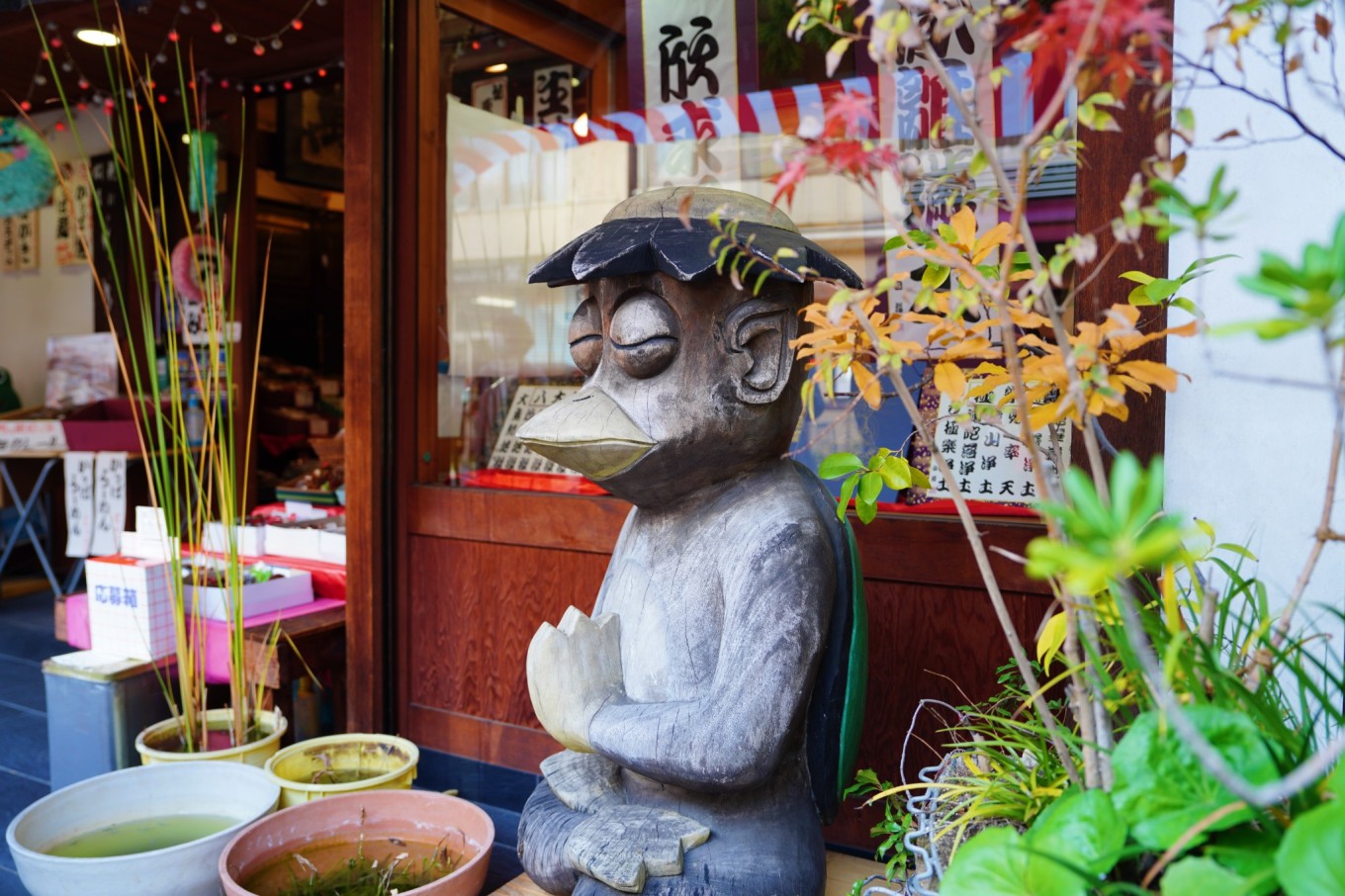 第十三次日本自由行，去富士山骑行吧！+深度探索东京秘境