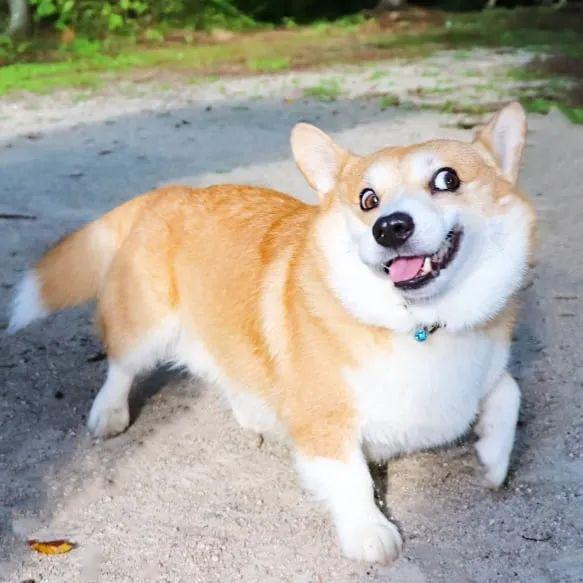 64f15bbb4d1b4c0ba5d7b6ebefb6f181.jpeg