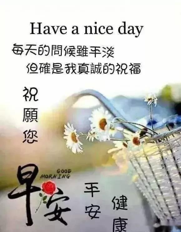 怎么才能不想一个人 1ac244e513e44677abcf41f437c6aafa.jpeg