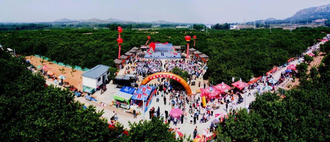 山水临涧 樱桃之约——2020平邑·临涧第六届大樱桃采摘旅游节 ,收好