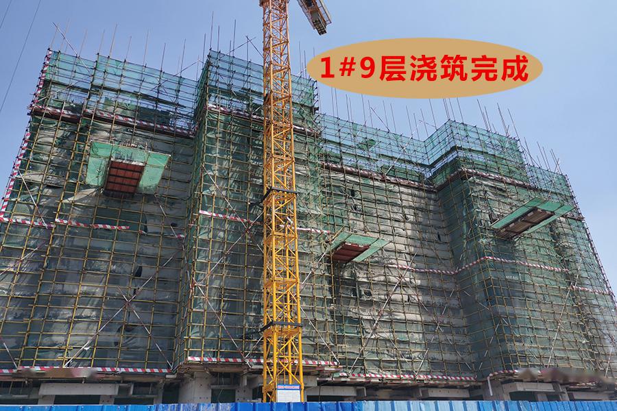 【橄榄绿洲·和雅】五月工程进度播报